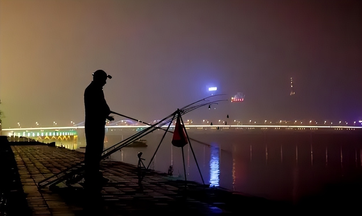 |夏季夜钓鱼口一定好？错了，这“4不钓”搞不懂，就不会有鱼！