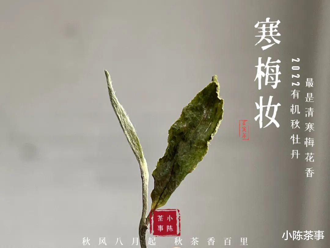冰糖甜、蔗糖香、甜韵，白茶喝起来越甜，品质就越好？