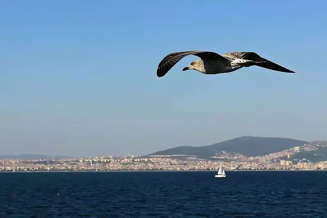 六安|海比湖小?地球海洋之最,面积最小海仅为全球最大湖泊面积的3%