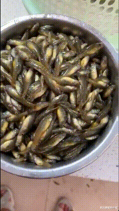 发型 发型不仅能决定颜值,还能影响性别