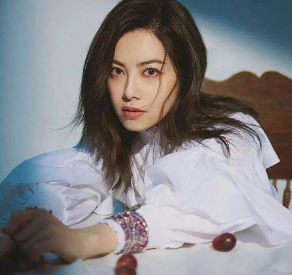 田震|六位红遍全国却突然消失的歌手,有的曾患抑郁症,有的被迫退圈