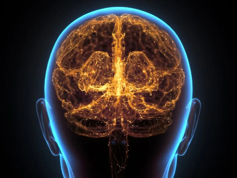 科学家们已经找出精神病人和正常人之间的关键生物学差异