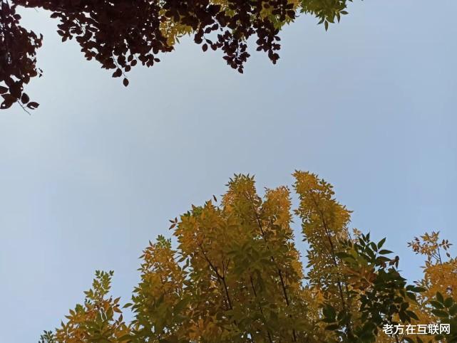 扫地机器人|现金薪酬降低10%-20%，刘强东为啥敢“对不起”2000多号高管？