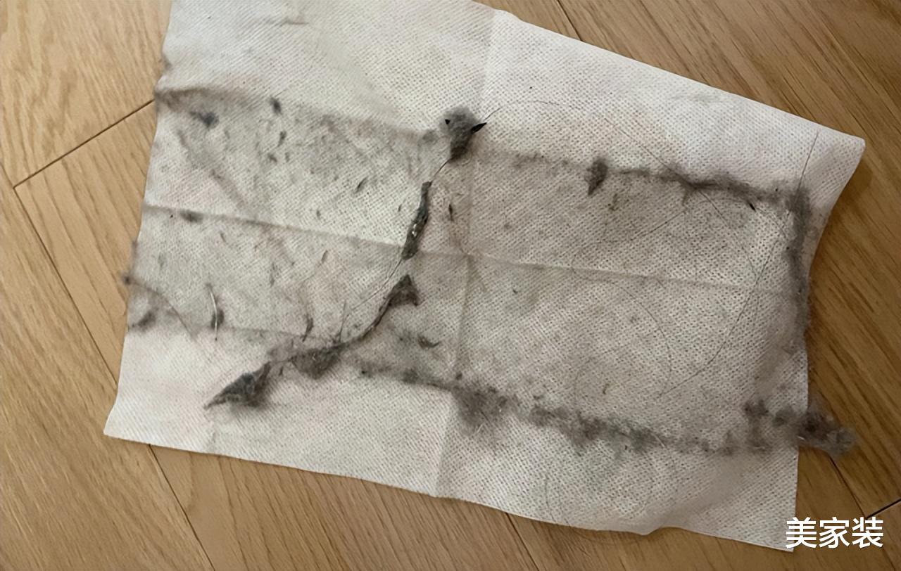 家里到处都是“毛絮”怎么办？老保洁教你1招，毛絮快速消失