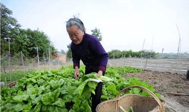 近亲结婚生3个“猴娃”,她在山墙上请人写15个字感谢政府