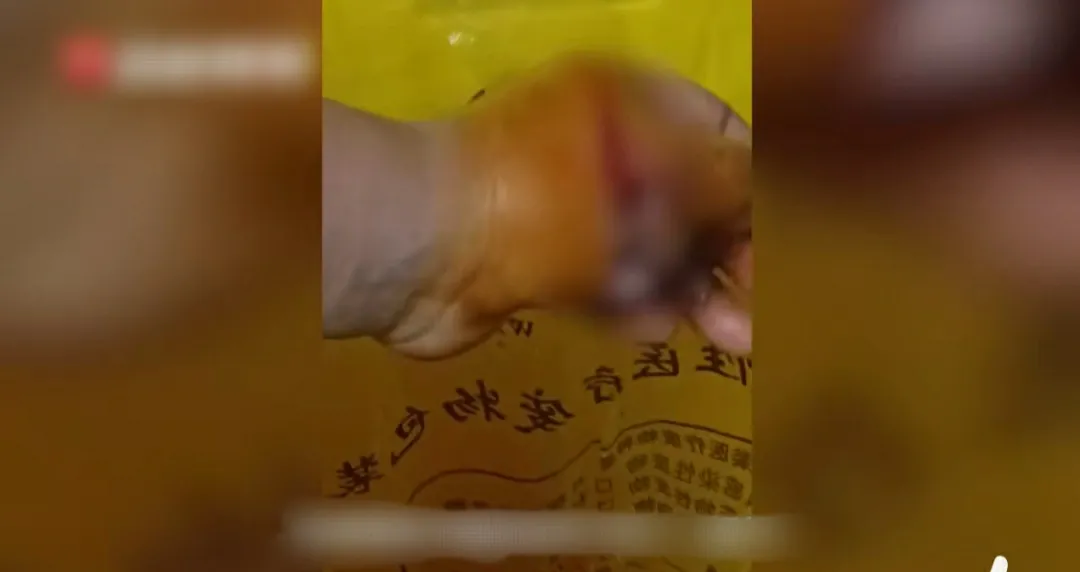 解缙|湖北 枣阳,两男子在一处荷塘边钓鱼,突然从旁边的玉米地里跑出一条黑狗