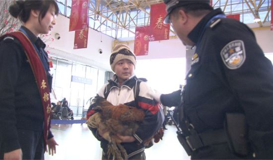 杨幂|9年过去了，那个被杨幂认作弟弟的陈玉林，走出大山了吗？