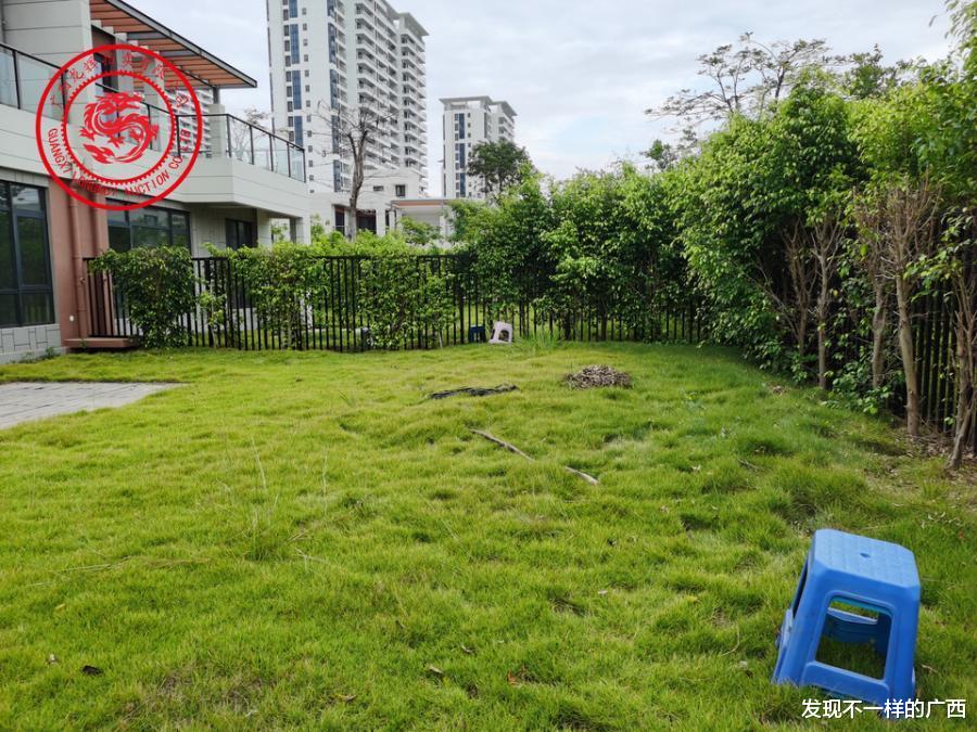 长沙|中信国安北海第一城12栋双拼别墅低价被拍卖,有人一下买两栋