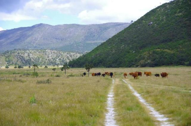 玉龙雪山|干河坝:云南丽江玉龙雪山脚下的一个绝美秘境