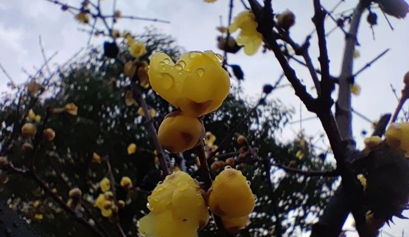 考试|为什么能力强的中层管理者年底突然被离职？