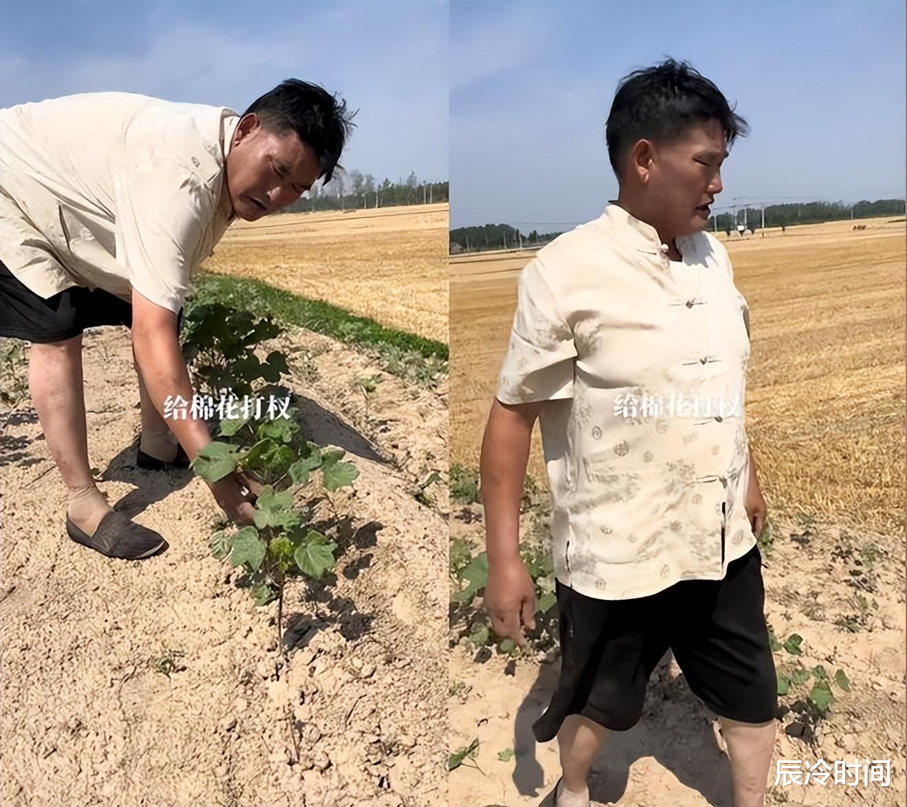 朱之文|大衣哥朱之文秀古筝才艺!挺肚腩费力推石磨,脚踩烂布鞋一脸骄傲