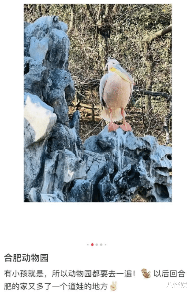 陈晓|陈晓抱儿子游玩,穿千元外套朴素得像路人,爷俩未洗头发型乱糟糟