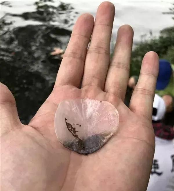 水库|2011年他在水库钓到一条78斤的青鱼,结果2天后竟卖出3000元