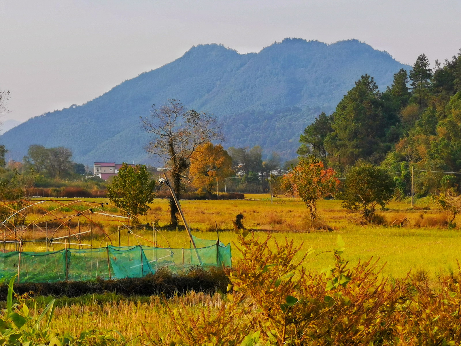 泾县|皖南赏秋，独一无二的风情等你去感受