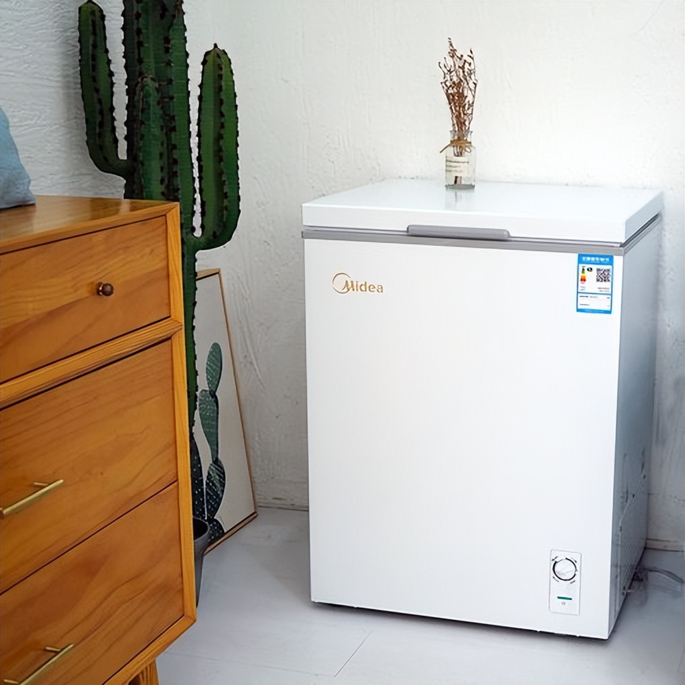 逐渐被市场“冷落”的冰柜,突然“走红”,还值得我们入手吗?