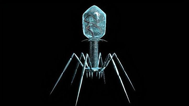 为什么噬菌体长得那么科幻？难道它们不是地球生物？