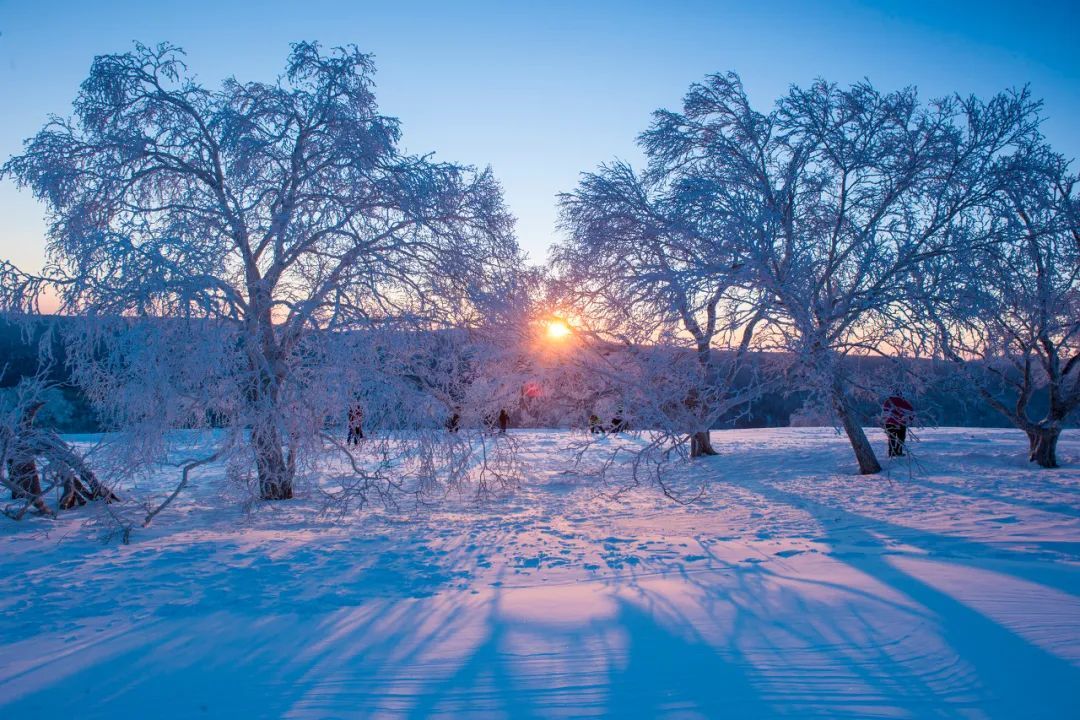 火山|长白：千年积雪的深处，是游走的梦