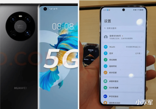 |网友：mate50标准版，比mate 40，还要香爆了