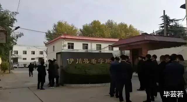 一只烧鸡值30万?河南小伙为了保护自家烧鸡,不仅赔钱还要坐牢
