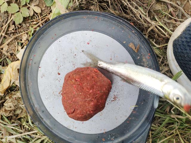 |前有姆巴佩的帽子戏法,今有旅li三戏大板鲫