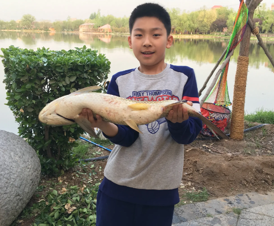 江苏省|钓鱼新手大礼包不分年龄，江苏男孩儿面包渣儿童竿照样钓到巨物