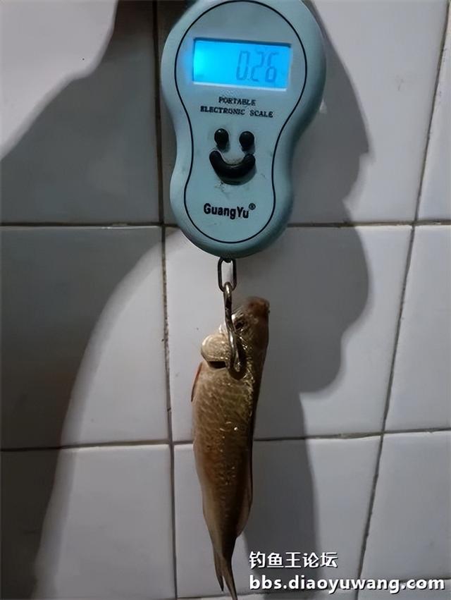 河南|新年首钓爆了护