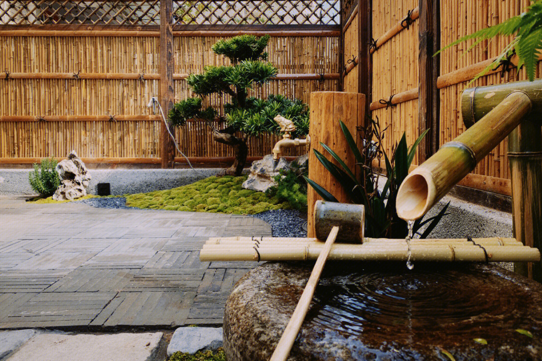 20㎡小院,打造日式花园经验分享,把日式庭院搬回家是怎样的体验