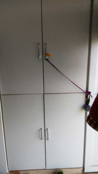 上海市|晒晒我在上海1500的出租房，要搬走了真舍不得，出租房也是家！