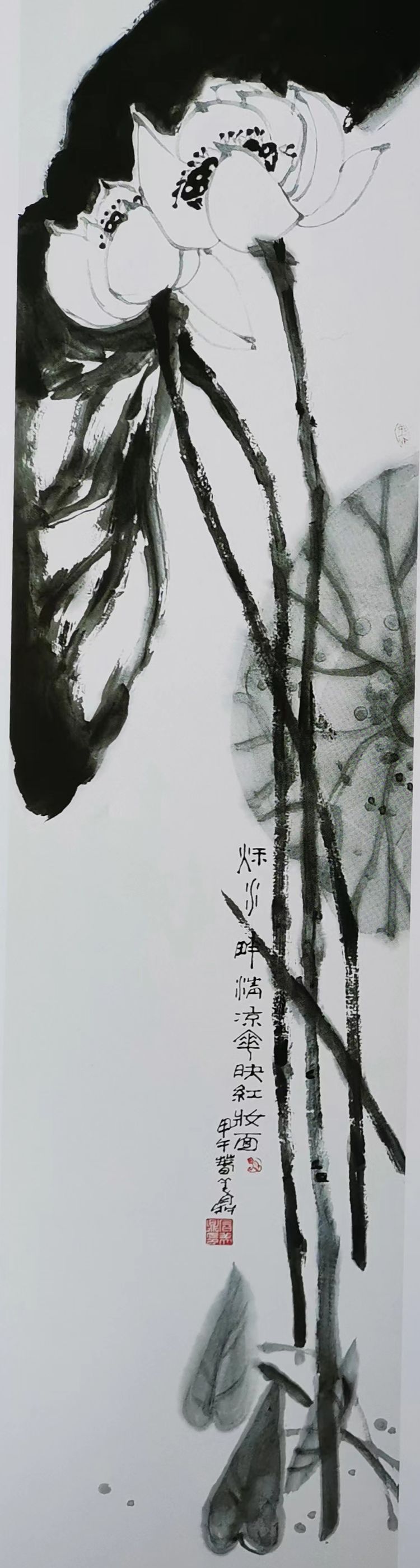 荷花|《翰墨丹青名家名作》——艺术家石美鼎