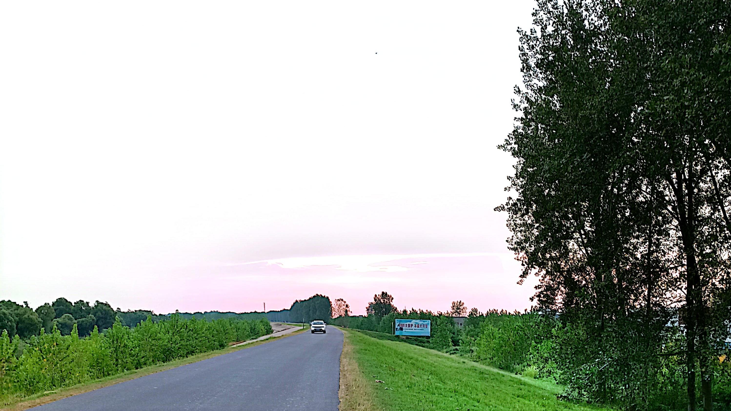 |新手小白钓鱼16口诀