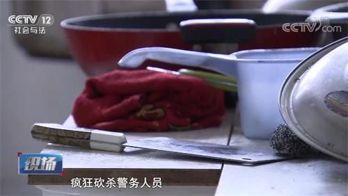 大案回顾：两兄弟袭警致2死1伤，法庭上极嚣张，死刑立马执行