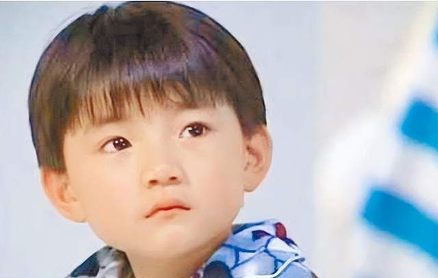 童星|8位“天才童星”现状,多人大起大落,两人锒铛入狱,命运差距大