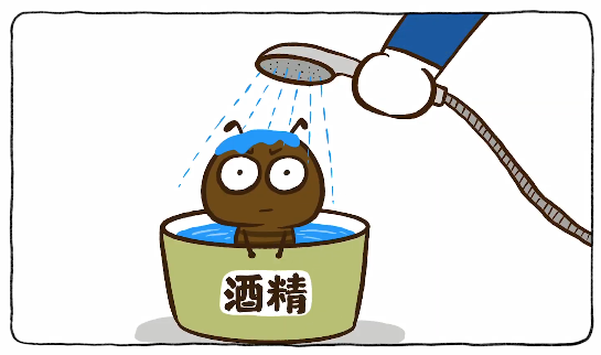 一只被帶去几十公里外的蚂蚁,会被当地蚂蚁接受吗?