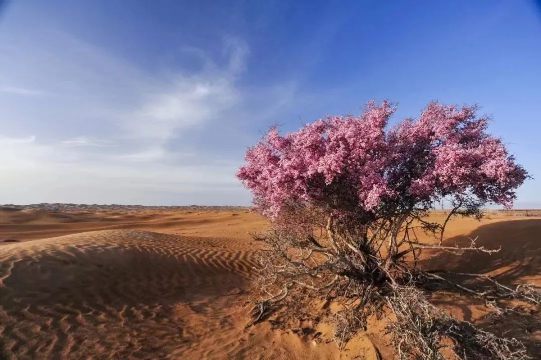 关于供桌风水的一些注意事项
