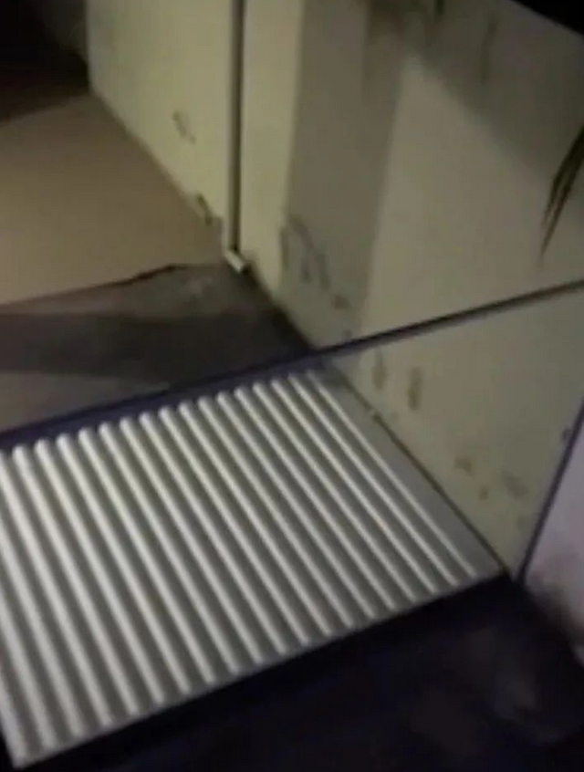 巴西男子夜闯豪宅想侵犯女住户,用头撞碎玻璃门后失血过多死了!