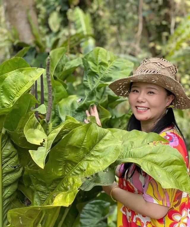 考研|一天5个瓜：考研落榜，男星二度确诊新冠，婚期将至，有喜也有悲