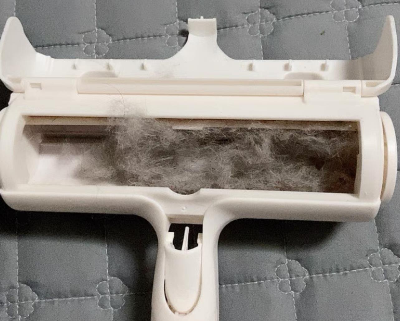 为何家里总有很多“毛絮”?老保姆这样做,毛絮自动消失,快试试