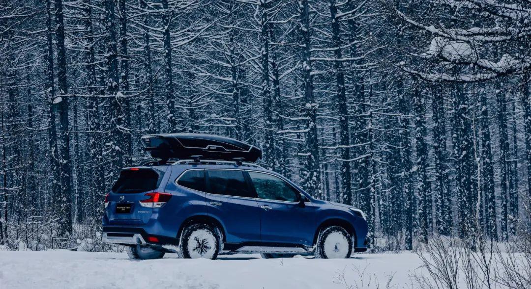 涨停|《雪国的森林》纪录片以外的故事:敖鲁古雅使鹿部落