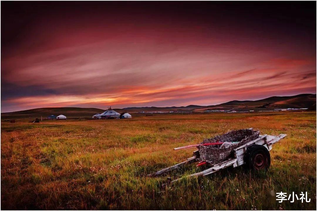 达达|又是一年秋叶黄 达达线 热阿线