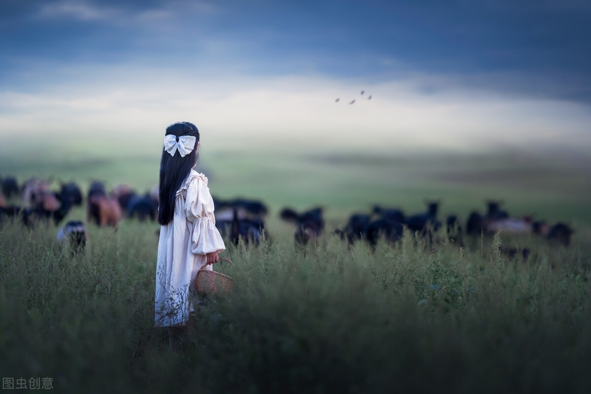 |抖音运营账号需要哪些阶段呢，合肥恒泽冠雨来诉说