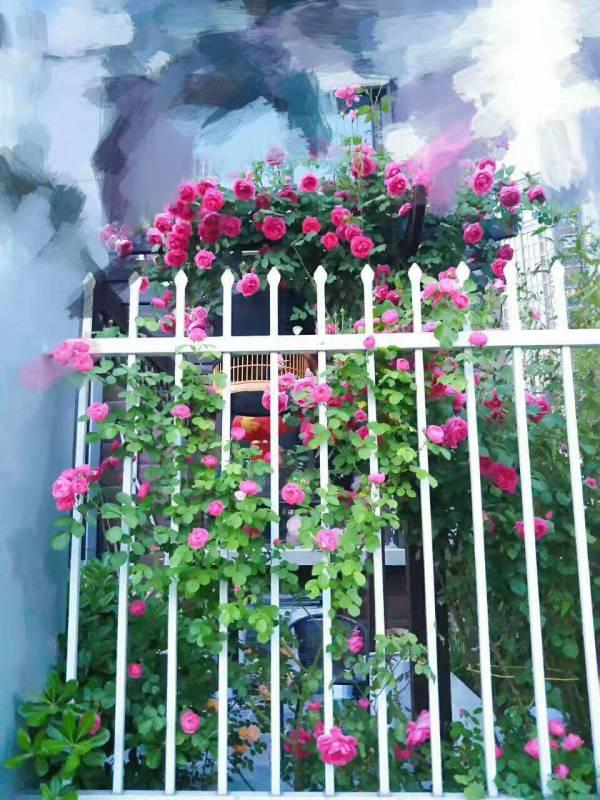 买一楼会被笑?!开发商直接赠送50平大院子,糙汉子在里面种满花