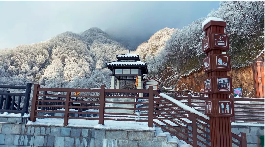 羊驼|陕南“智山”：云雾山鬼谷岭迷人冬景