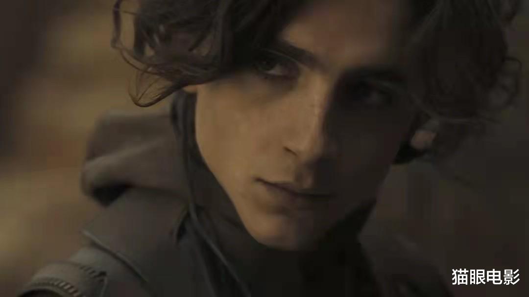 沙丘2|甜茶新剧女主太难定！5大女神竞争公主角色，还有一位是跨性别者