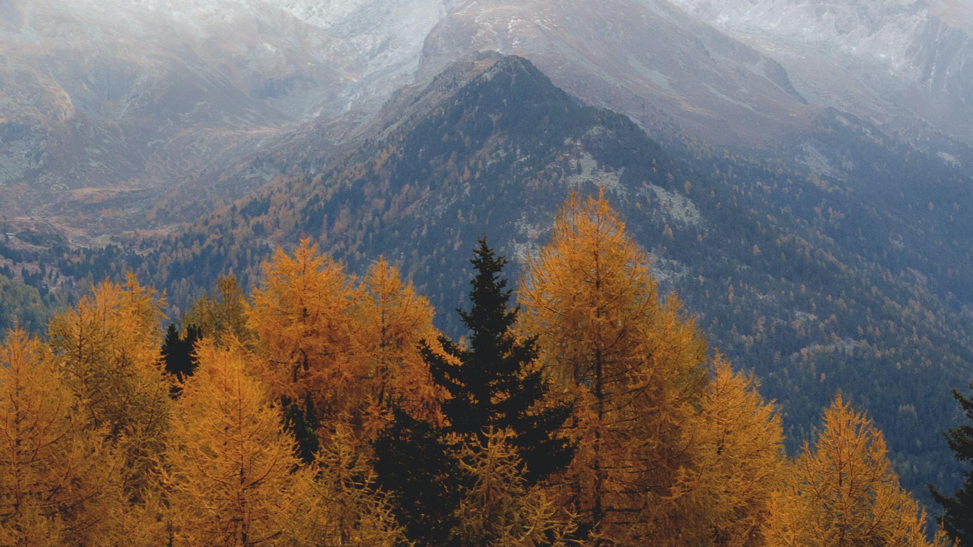 |秋在万山深处红：华山赏秋