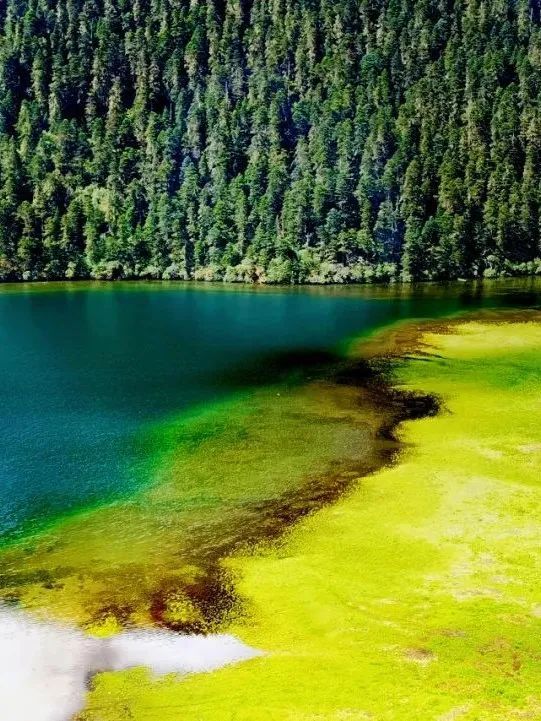 旅行|你是否误入了挪威的森林王国?中国当季小众旅行地