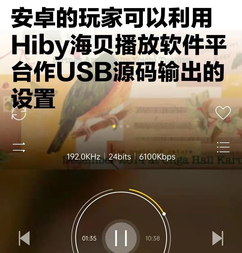 USB|[技巧]教你电脑、平板等与麦景图DAC模块连接、设置