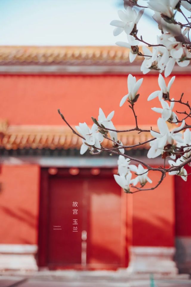 云南|中国一生中必去的50个地方,疫情结束,你最想去哪旅行呢?