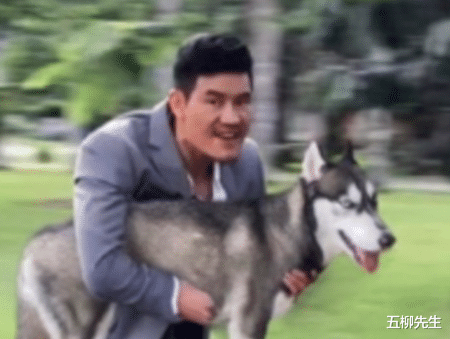 |嘎子哥太难了!继潘嘎之交后,嘎子“偷狗”再次爆梗出圈引热议