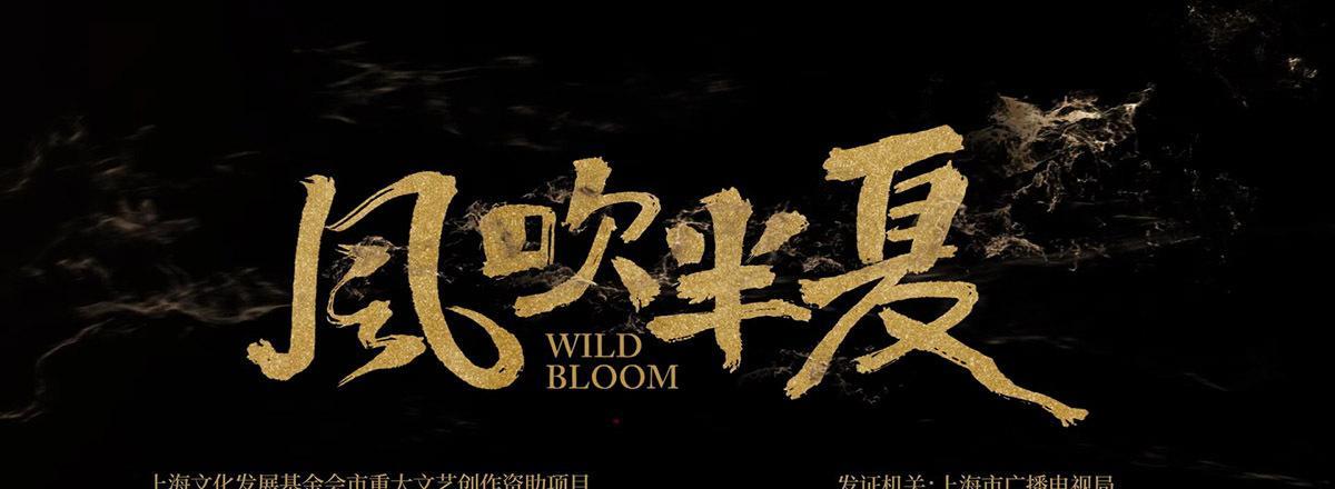 赵垒|《风吹半夏》赵垒看势半夏谋势，当下落得一身骂，未来运势爆金花