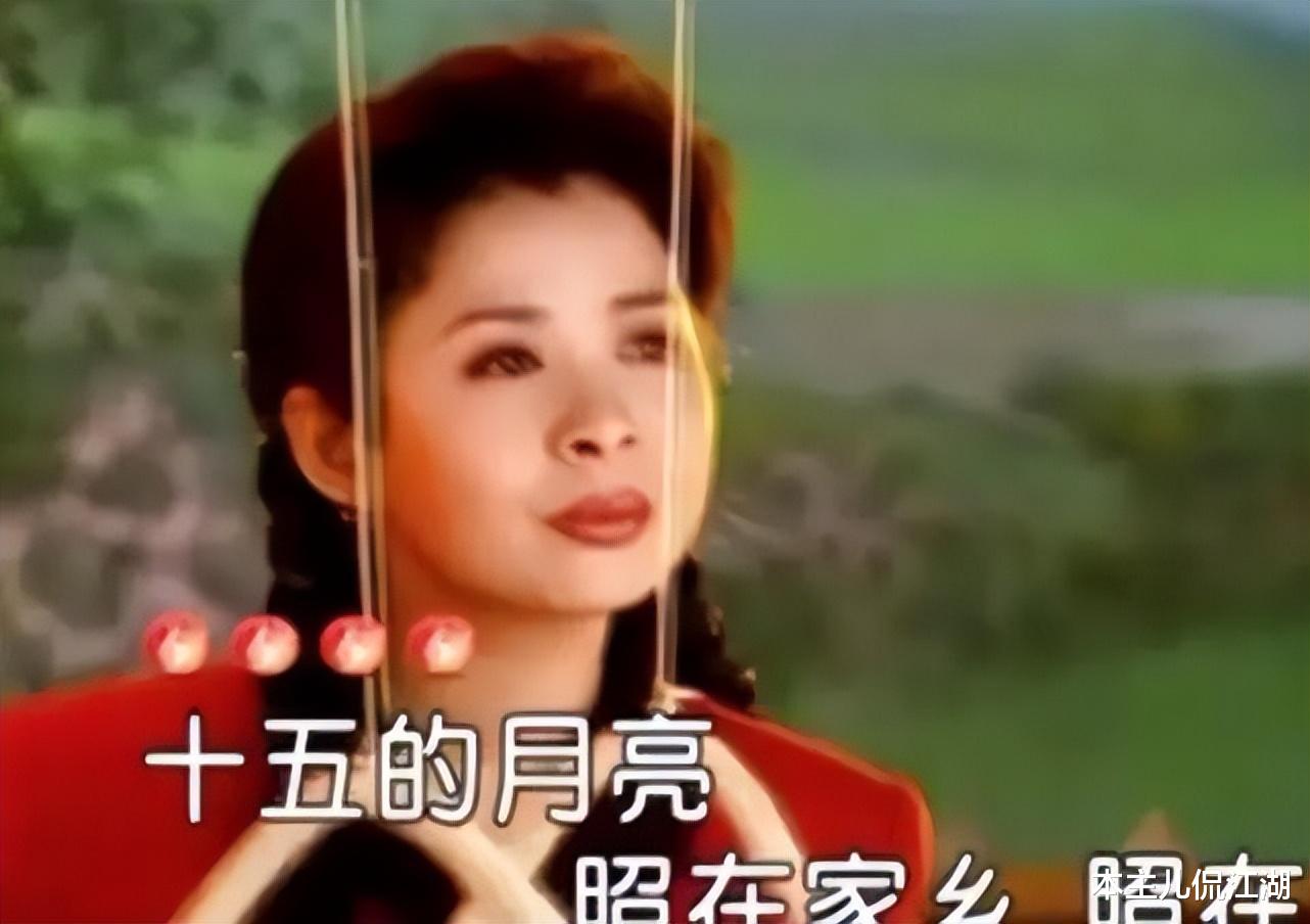 |董文华:22岁嫁初恋,23岁爆火,38岁跌落神坛,如今怎样了?